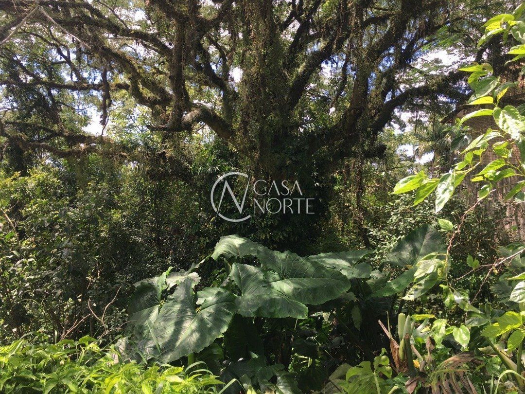 Terreno à venda  com 671m², Rua Liberal no bairro Tristeza em Porto Alegre