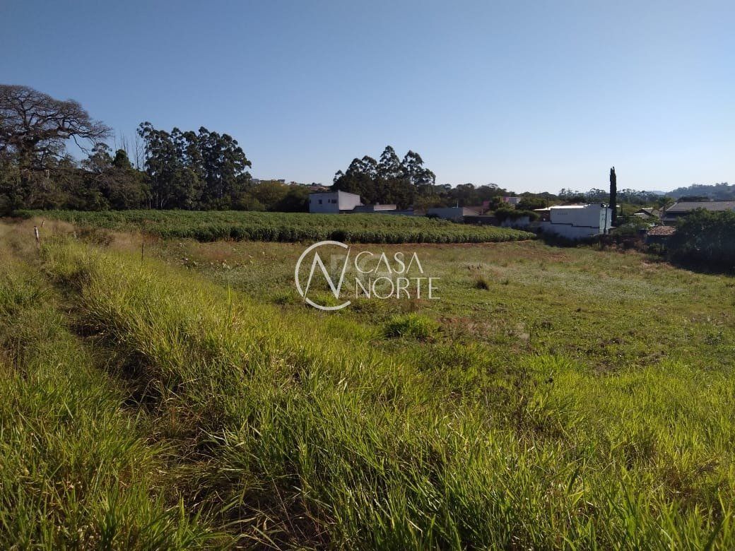 Terreno à venda  com 36900m², Beco do Paladino no bairro Campo Novo em Porto Alegre