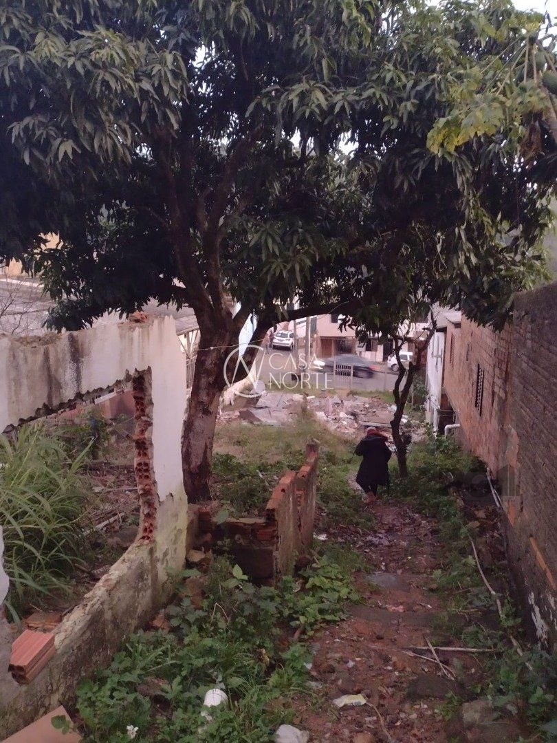 Terreno à venda  com 623m², Estrada dos Barcellos no bairro Cascata em Porto Alegre