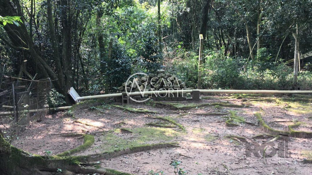 Terreno à venda  com 2073m², Avenida Belém Velho no bairro Vila Nova em Porto Alegre