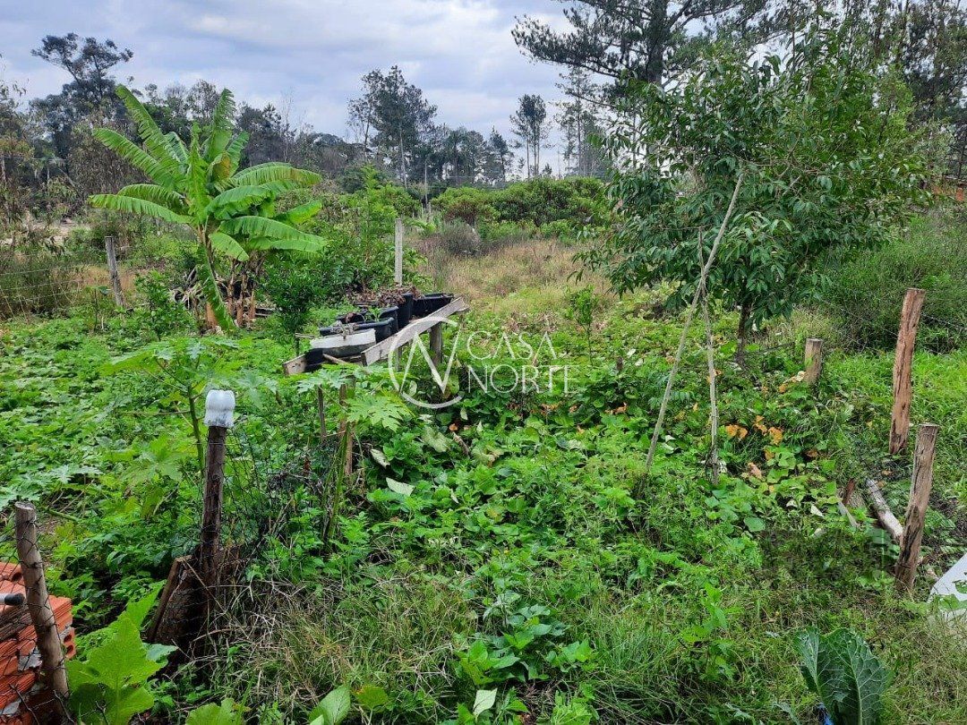 Casa à venda com 1 quarto, 29m², Avenida Edgar Pires de Castro no bairro Lageado em Porto Alegre