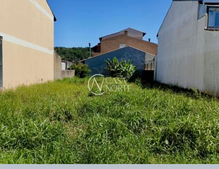 Terreno à venda  com 125m², Rua Doutor Hermes Pacheco no bairro Aberta dos Morros em Porto Alegre