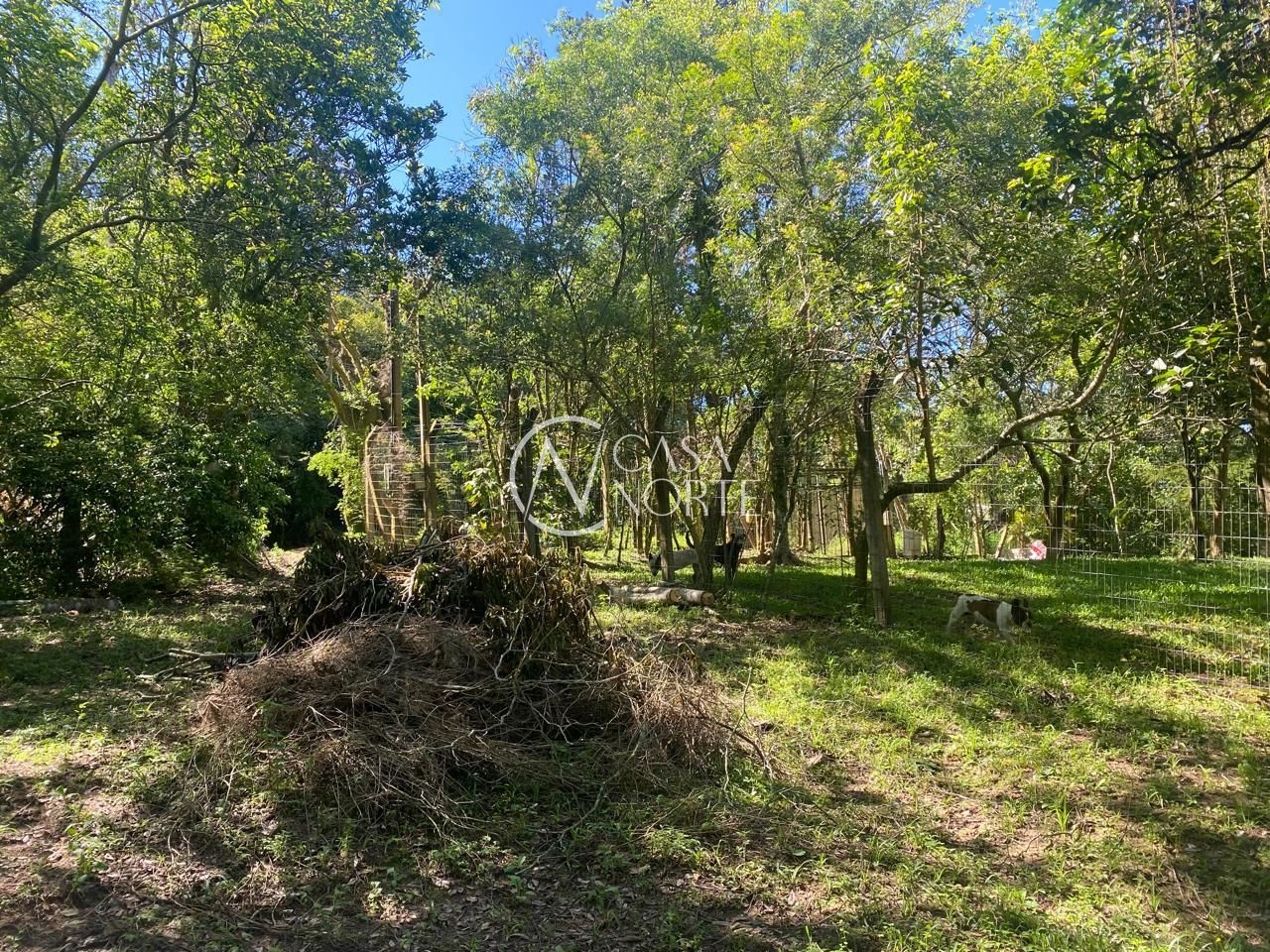 Terreno à venda  com 9750m², Marechal Marciano Avila no bairro Belém Velho em Porto Alegre