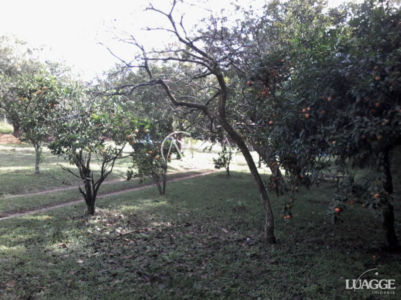 Terreno à venda  com 2460m², Rua Dona Mariana no bairro Restinga em Porto Alegre