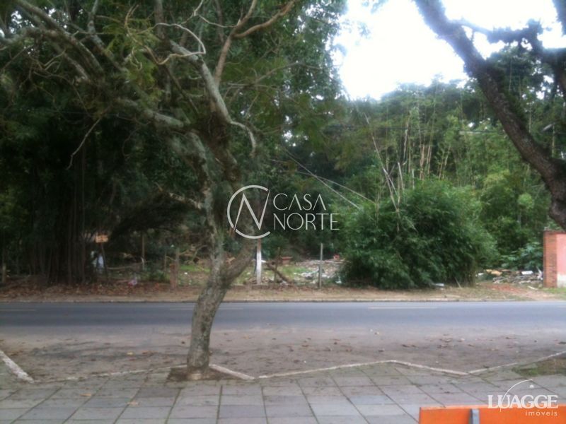 Terreno à venda  com 1452m², Avenida Guaiba no bairro Serraria em Porto Alegre