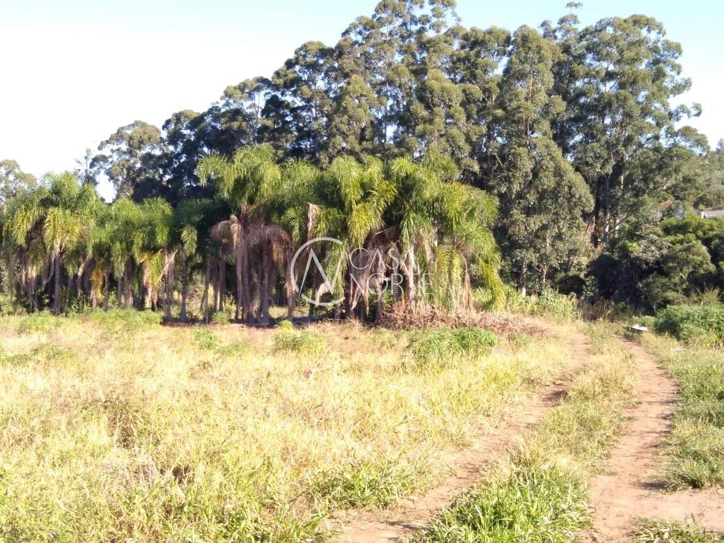 Terreno à venda  com 36900m², Beco do Paladino no bairro Campo Novo em Porto Alegre