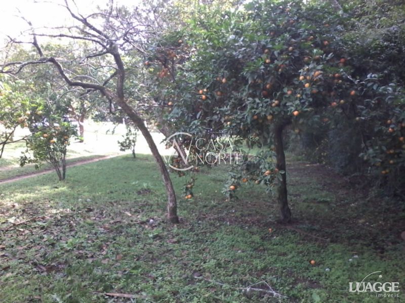 Terreno à venda  com 2460m², Rua Dona Mariana no bairro Restinga em Porto Alegre
