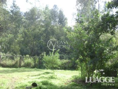 Chácara à venda com 3 quartos com 5000m², Estrada da Taquara no bairro Lami em Porto Alegre