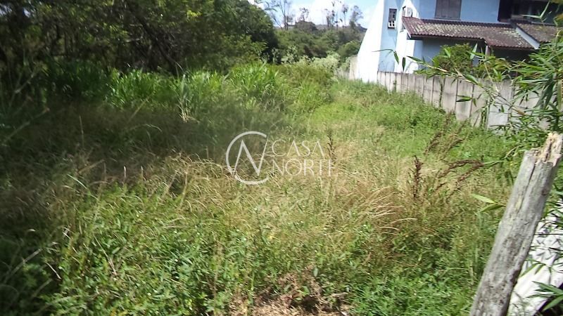 Terreno à venda  com 2169m², Estrada Jorge Pereira Nunes no bairro Aberta dos Morros em Porto Alegre