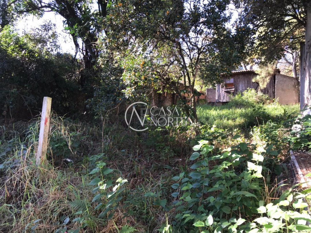 Terreno à venda  com 500m², Avenida Vicente Monteggia no bairro Cavalhada em Porto Alegre