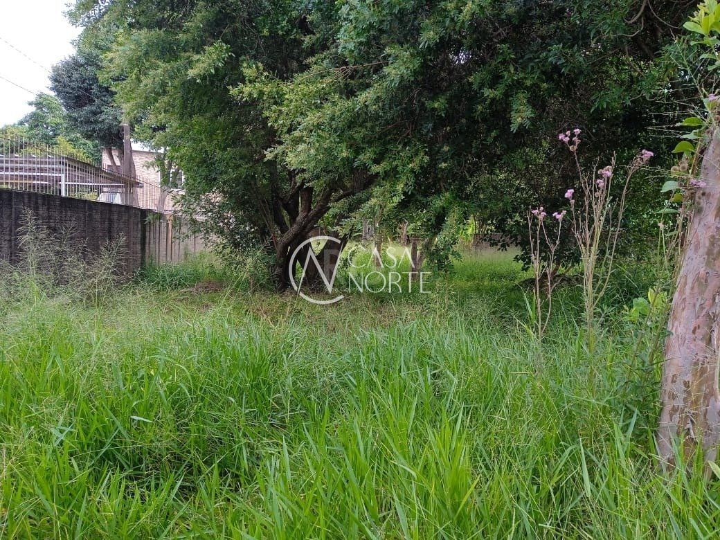 Terreno à venda  com 368m², Rua Doutor Mário Totta no bairro Tristeza em Porto Alegre