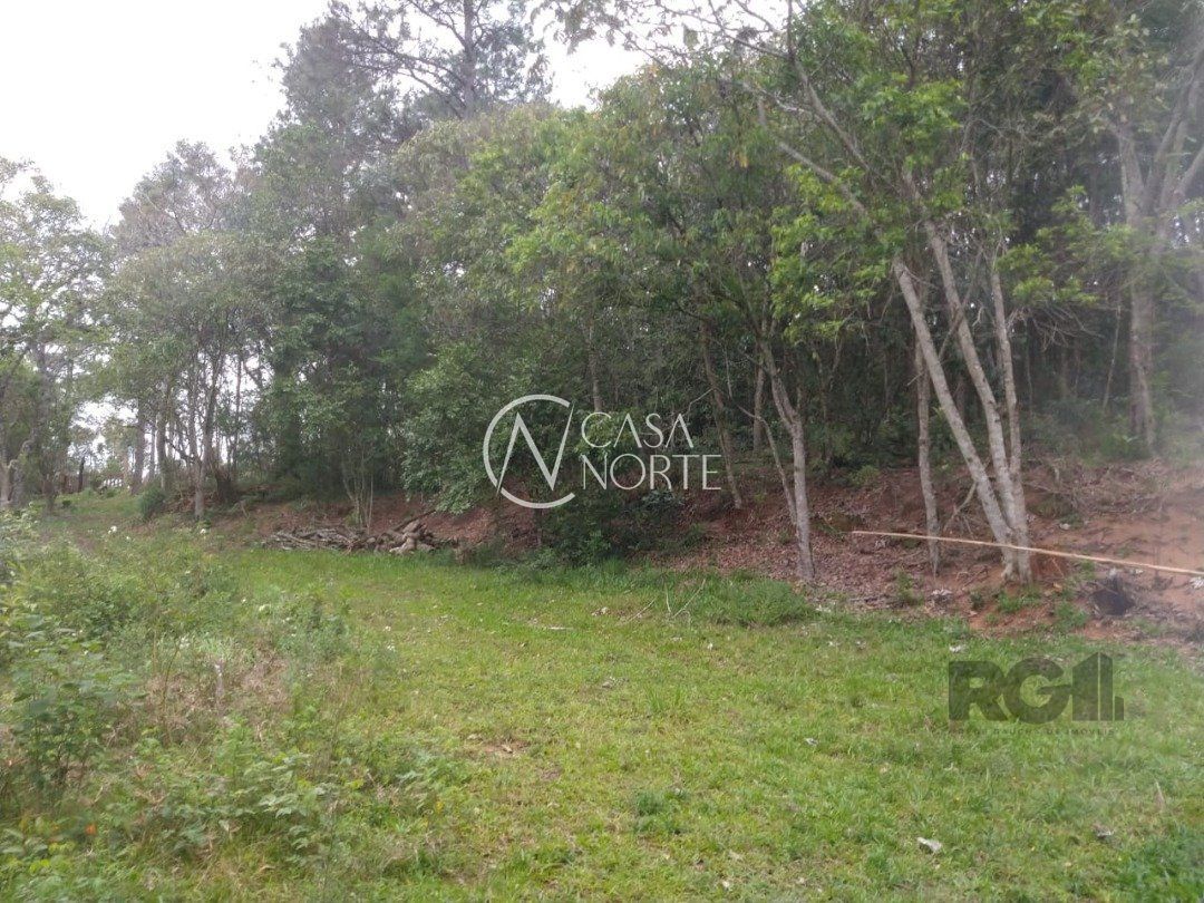 Sítio à venda  com 66981m², Estrada Antônio Borges no bairro Belém Velho em Porto Alegre