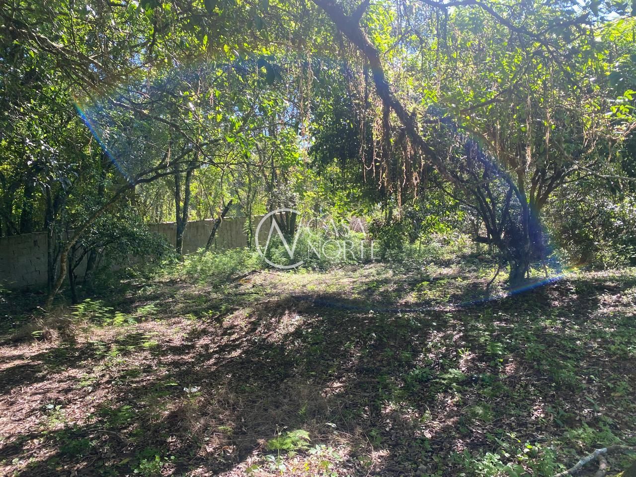 Terreno à venda  com 9750m², Marechal Marciano Avila no bairro Belém Velho em Porto Alegre