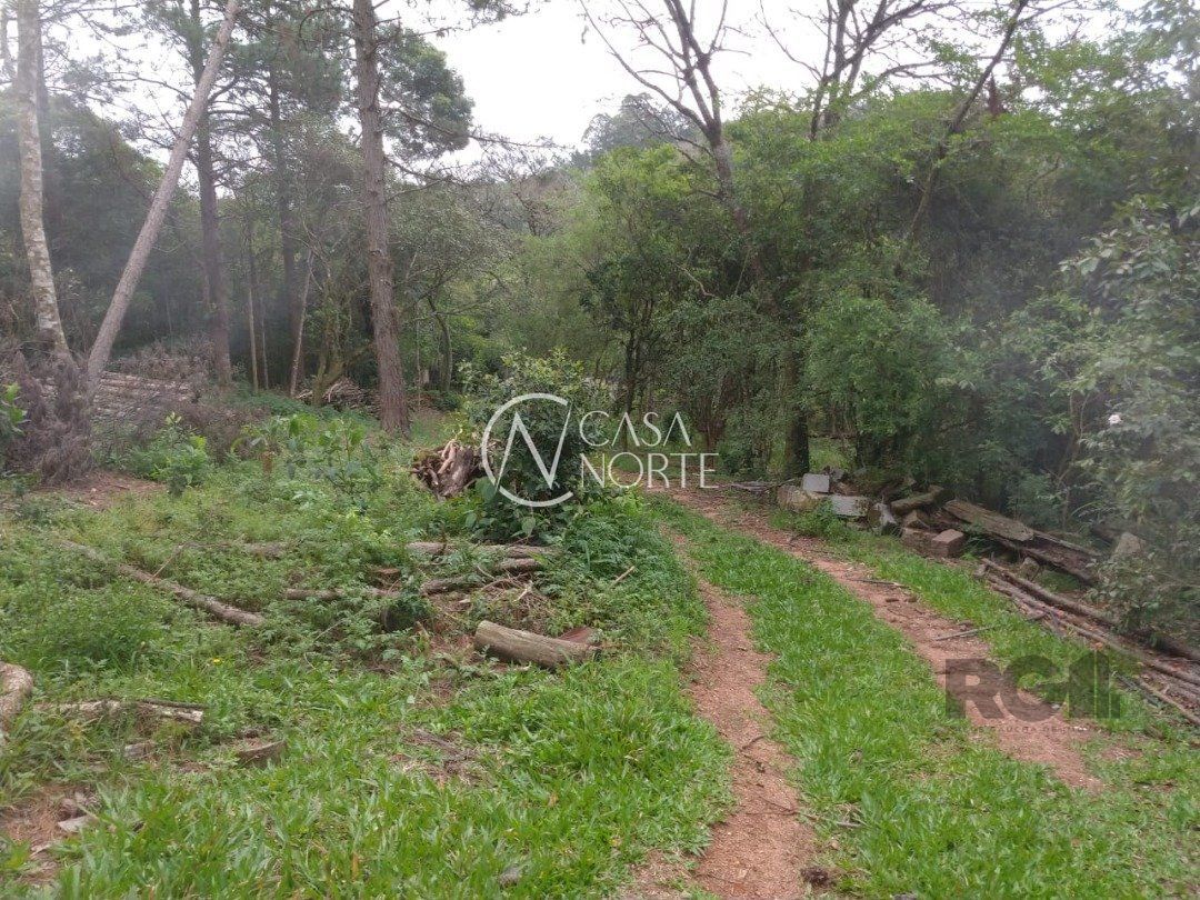 Sítio à venda  com 46960m², Estrada Antônio Borges no bairro Belém Velho em Porto Alegre