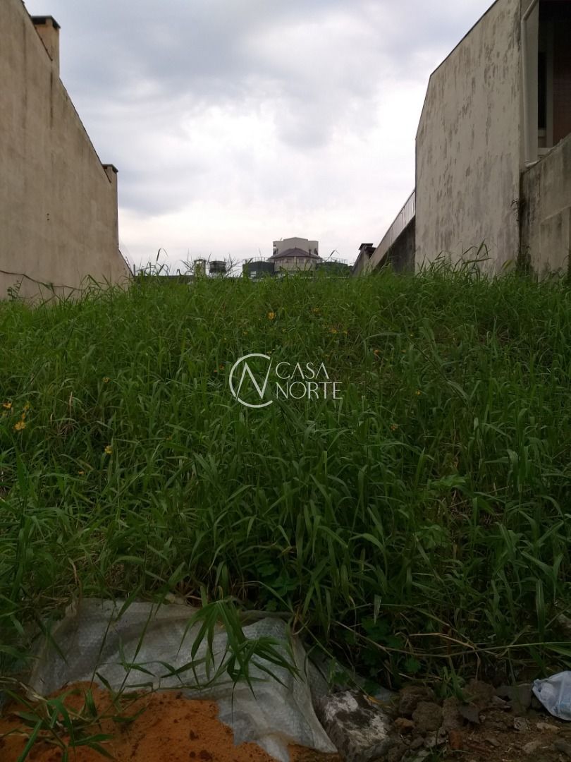 Terreno à venda  com 484m², Rua Upamaroti no bairro Cristal em Porto Alegre
