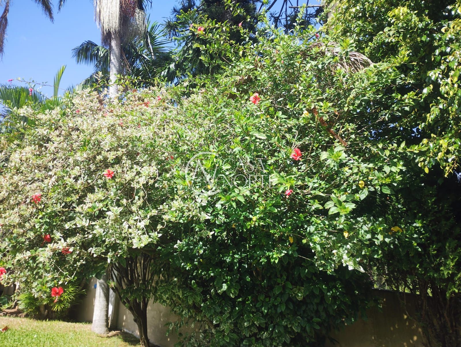 Casa à venda com 3 quartos, 300m², 1 suíte, 7 vagas, Rua Liberal no bairro Tristeza em Porto Alegre