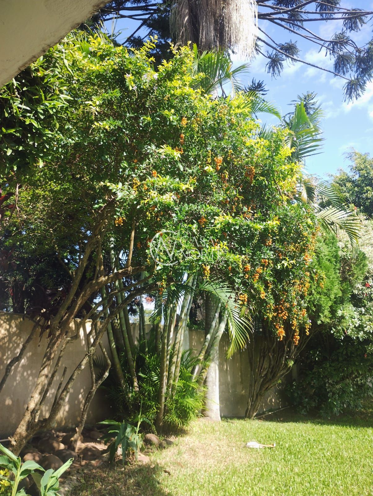 Casa à venda com 3 quartos, 300m², 1 suíte, 7 vagas, Rua Liberal no bairro Tristeza em Porto Alegre