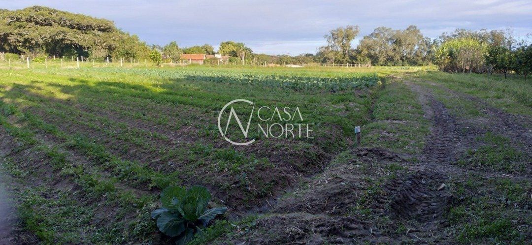 Terreno à venda  com 47428600m², Avenida do Lami no bairro Lageado em Porto Alegre