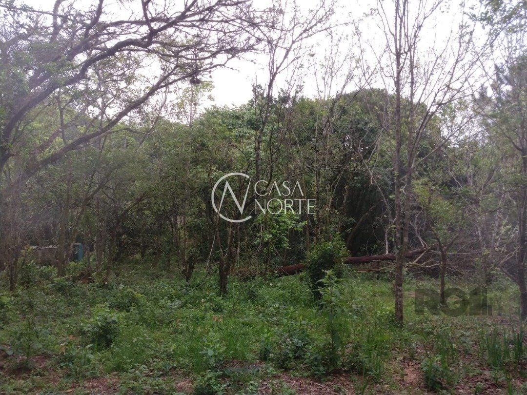 Sítio à venda  com 66981m², Estrada Antônio Borges no bairro Belém Velho em Porto Alegre