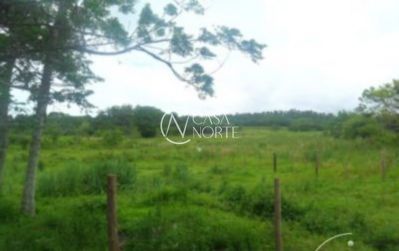 Terreno à venda  com 48964m², Avenida Edgar Pires de Castro no bairro Aberta dos Morros em Porto Alegre