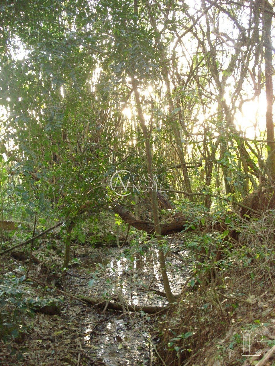 Terreno à venda  com 4500m², Rua Amapa no bairro Vila Nova em Porto Alegre