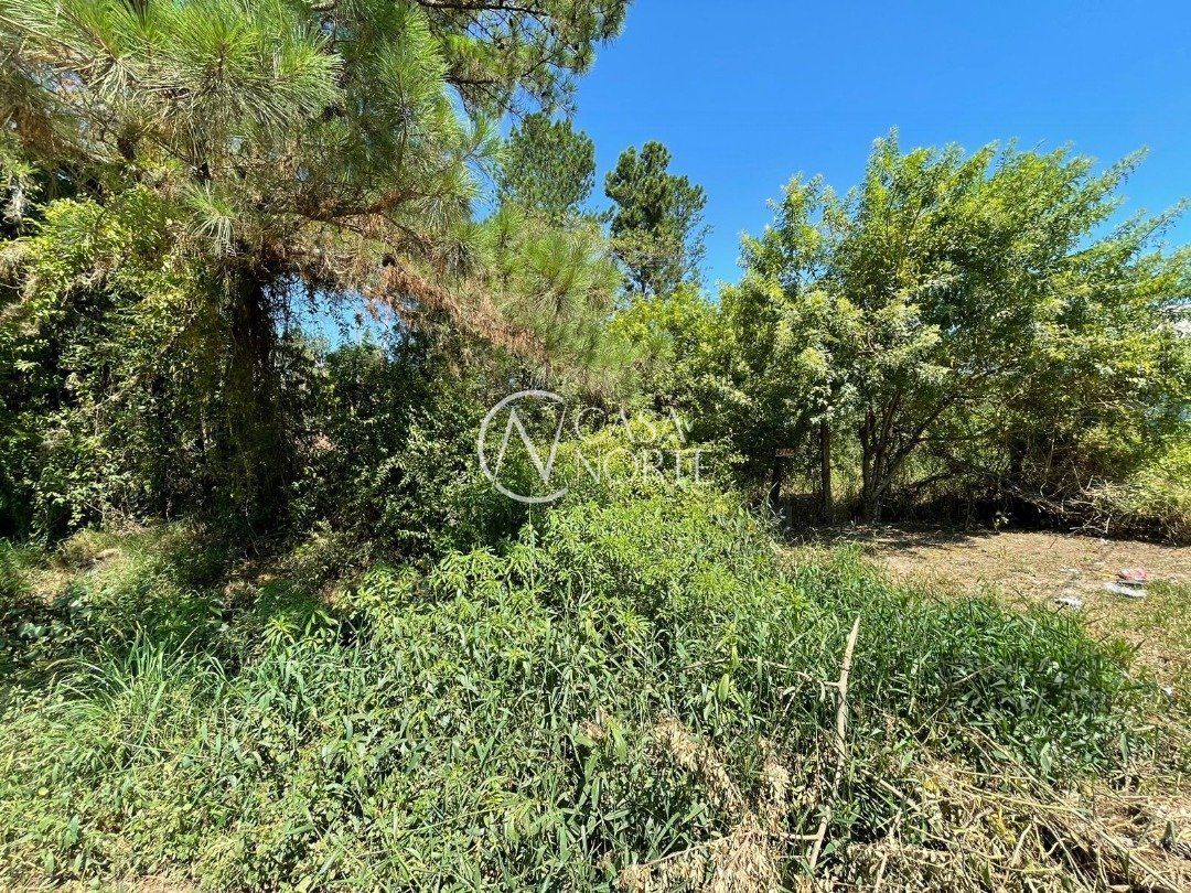 Terreno à venda , 3000m², Rua Santa Monica no bairro Ponta Grossa em Porto Alegre