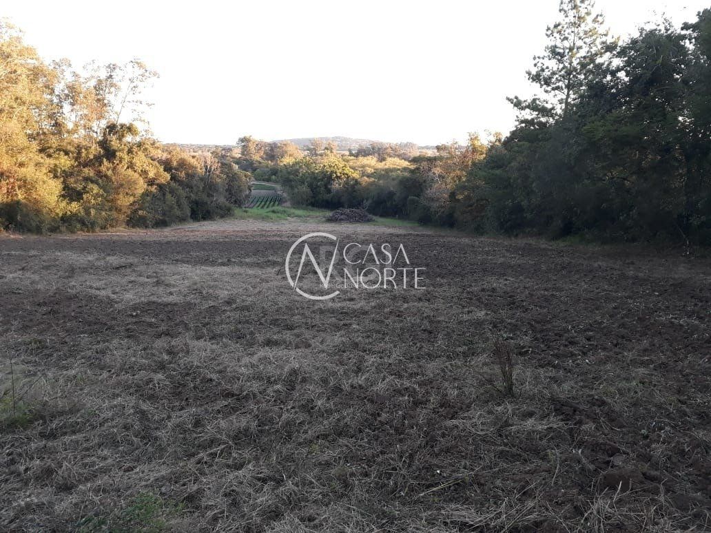 Sítio à venda com 1 quarto, 11269m², Estrada Jacques da Rosa no bairro Lageado em Porto Alegre