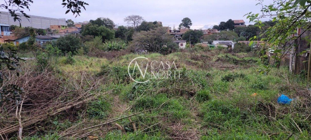 Terreno à venda  com 3037m², Estrada Jorge Pereira Nunes no bairro Campo Novo em Porto Alegre