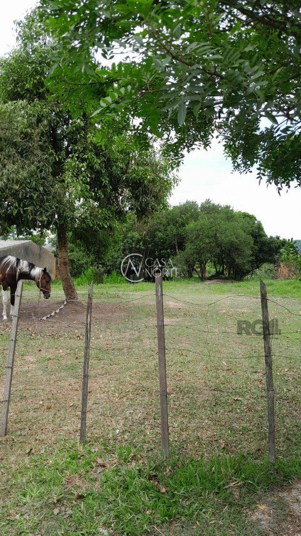 Terreno à venda  com 1000m², Rua Oito Mil e Dezessete no bairro Lageado em Porto Alegre