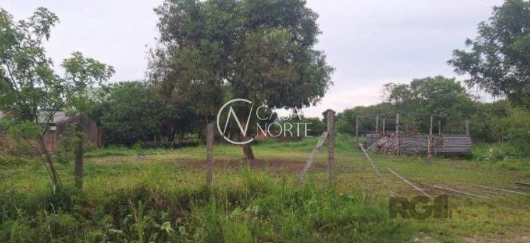 Terreno à venda  com 1000m², Rua Oito Mil e Dezessete no bairro Lageado em Porto Alegre