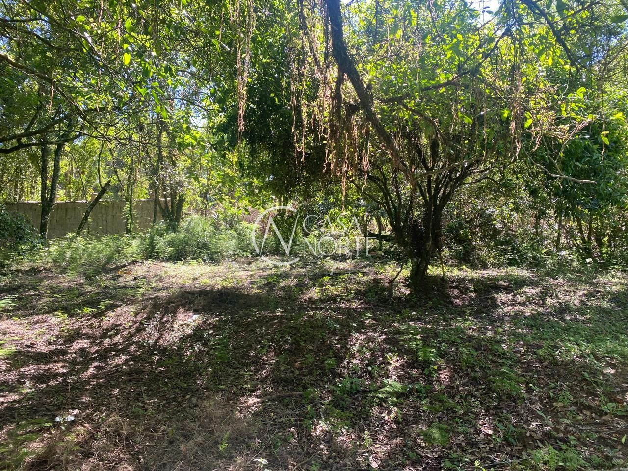 Terreno à venda  com 9750m², Marechal Marciano Avila no bairro Belém Velho em Porto Alegre