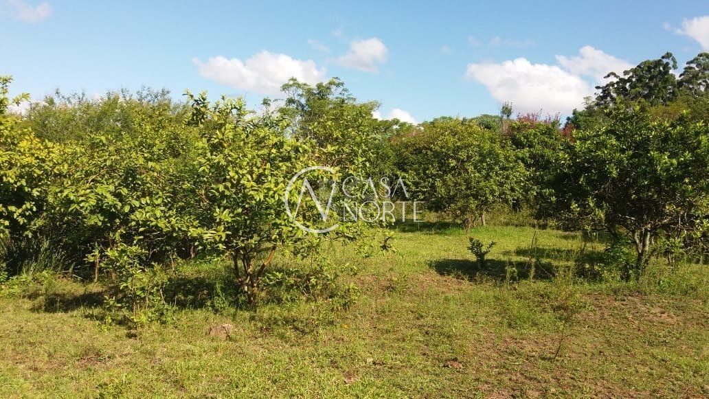 Terreno à venda  com 44000m², Avenida do Lami no bairro Boa Vista do Sul em Porto Alegre