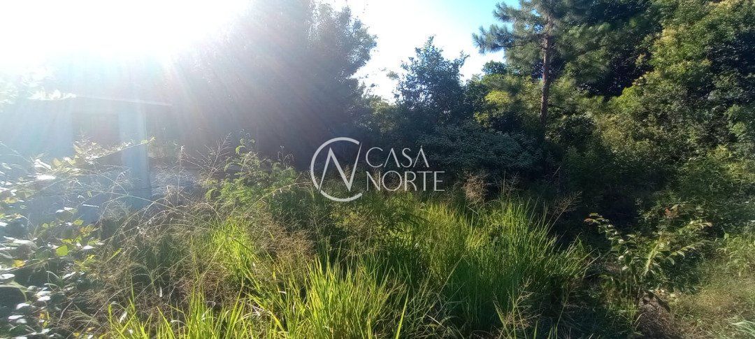 Terreno à venda  com 653m², Rua Frederico Etzberger no bairro Nonoai em Porto Alegre