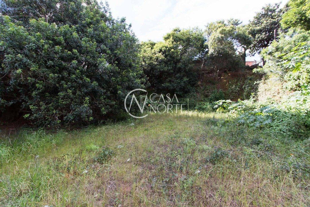 Terreno à venda  com 660m², Avenida Otto Niemeyer no bairro Tristeza em Porto Alegre