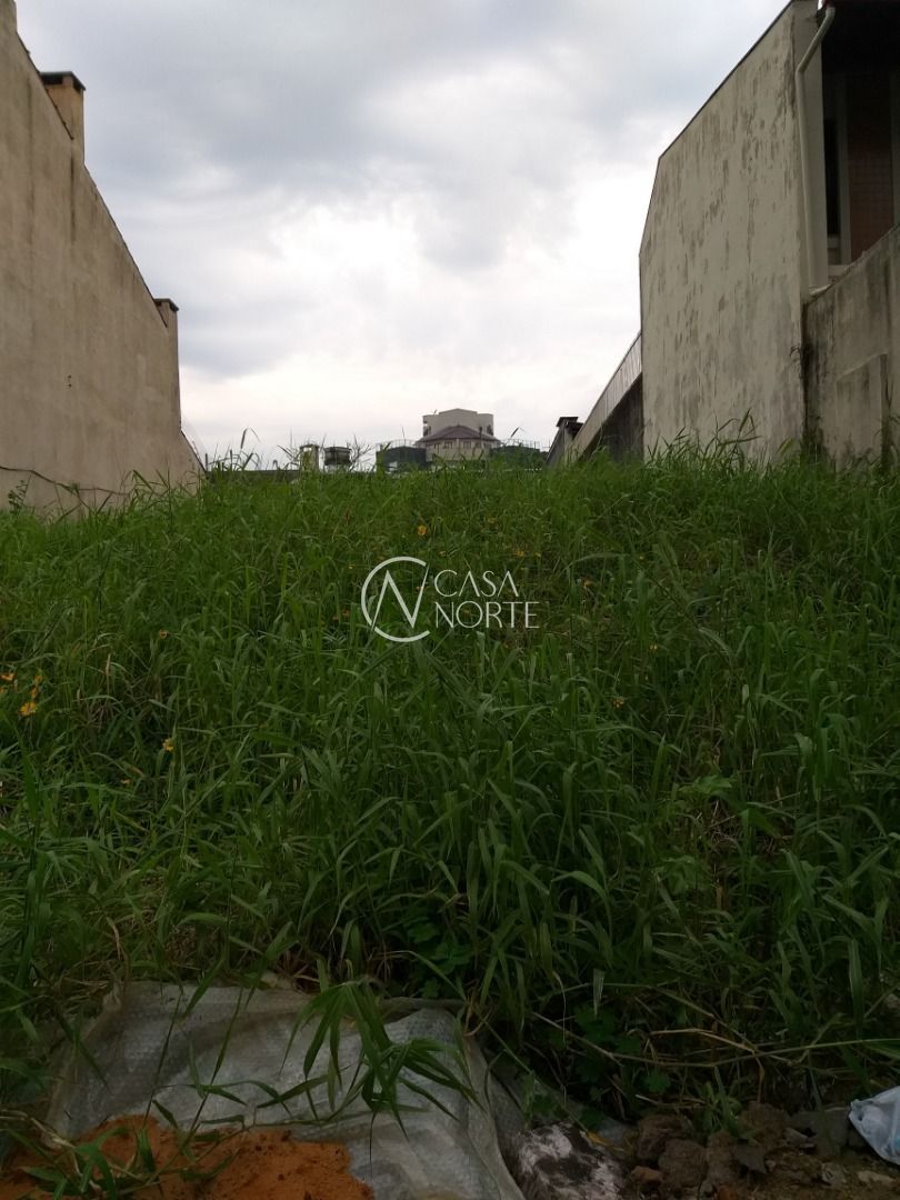 Terreno à venda  com 484m², Rua Upamaroti no bairro Cristal em Porto Alegre