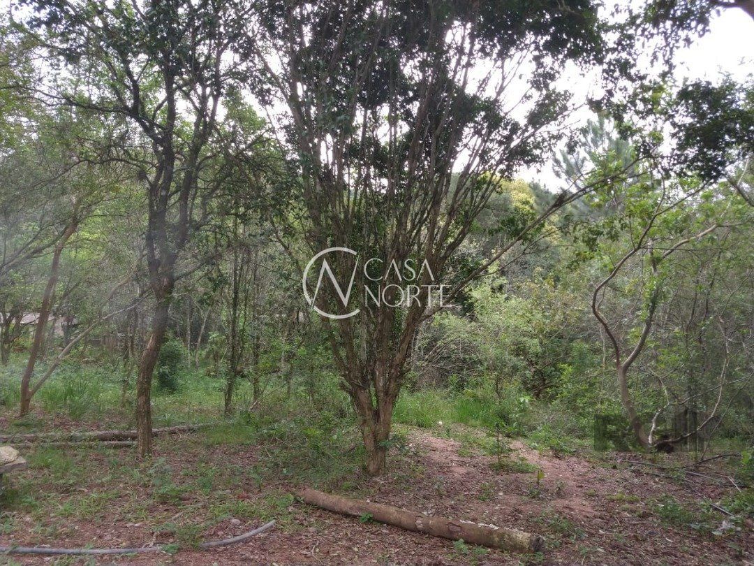 Sítio à venda  com 66981m², Estrada Antônio Borges no bairro Belém Velho em Porto Alegre