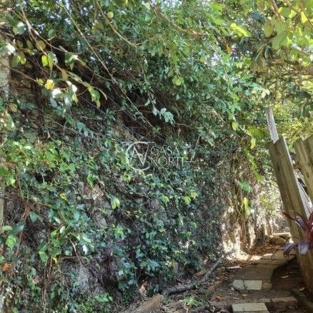 Terreno à venda  com 482m², Rua Santa Cruz no bairro Santa Tereza em Porto Alegre
