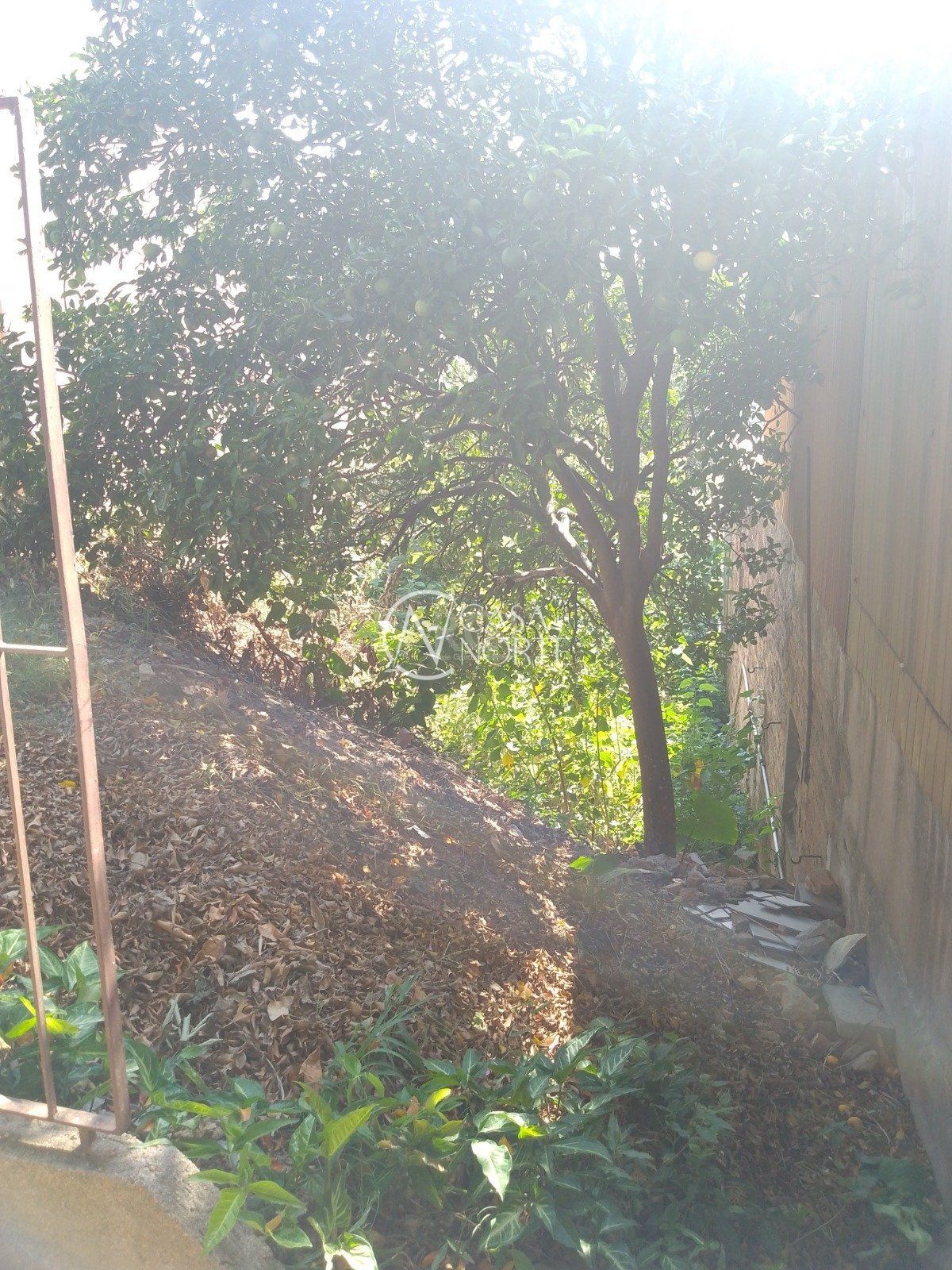 Terreno à venda  com 247m², Rua Padre Antônio Vieira no bairro Santo Antônio em Porto Alegre