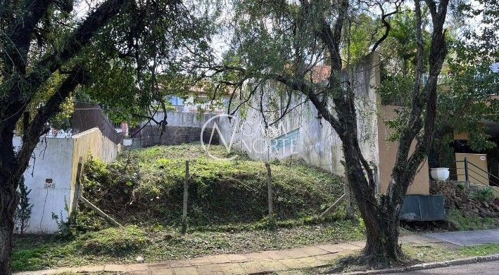 Terreno à venda  com 300m², Avenida Engenheiro Alfredo Correa Daudt no bairro Boa Vista em Porto Alegre