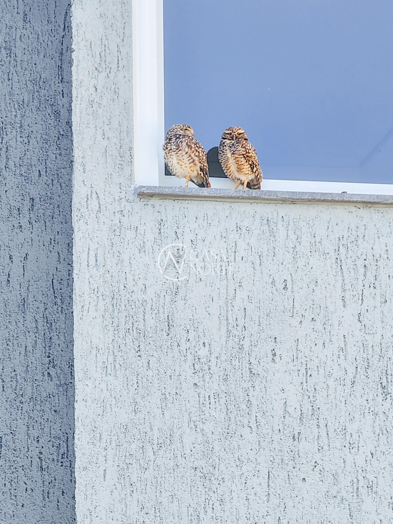 Terreno à venda  com 116m², Estrada Jorge Pereira Nunes no bairro Campo Novo em Porto Alegre