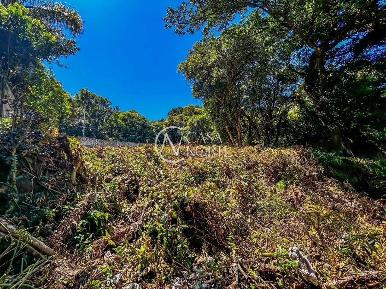 Terreno à venda  com 914m², Avenida Guaíba no bairro Ipanema em Porto Alegre