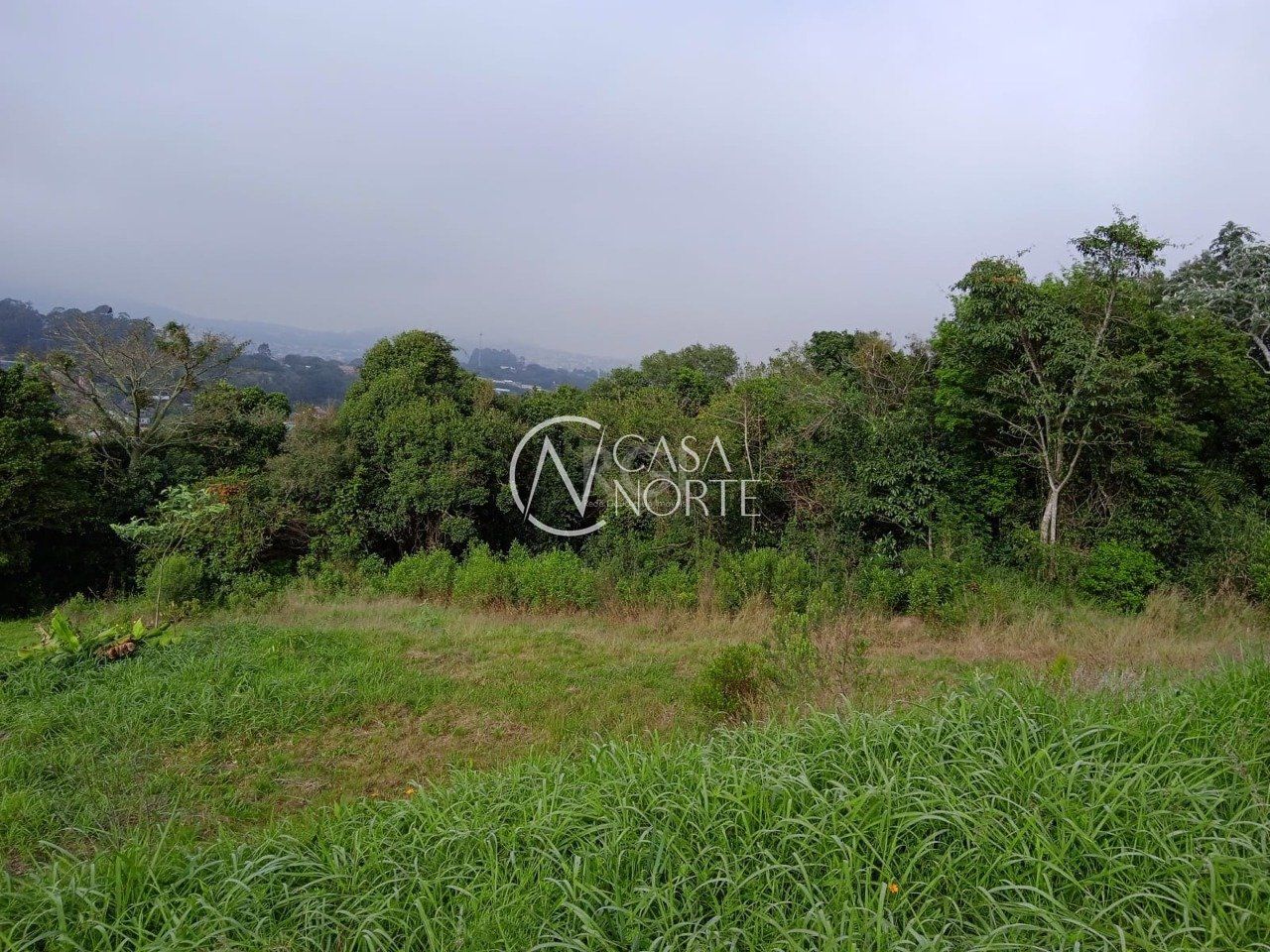 Terreno à venda  com 4950m², Rua Flor de Pessegueiro no bairro Vila Nova em Porto Alegre