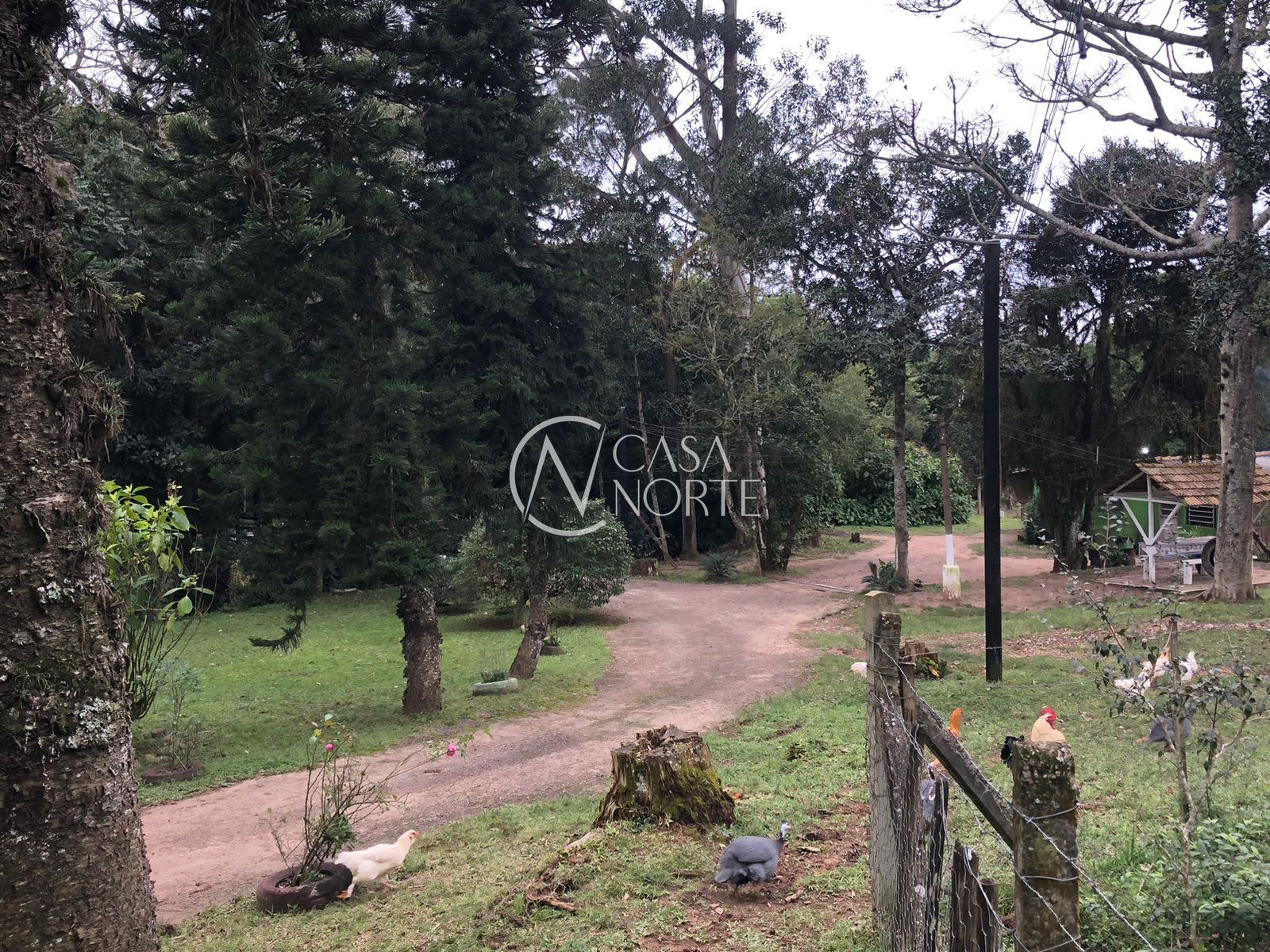 Sítio à venda com 1 quarto, 55m², 1 vaga, Estrada Costa Gama no bairro Belém Velho em Porto Alegre