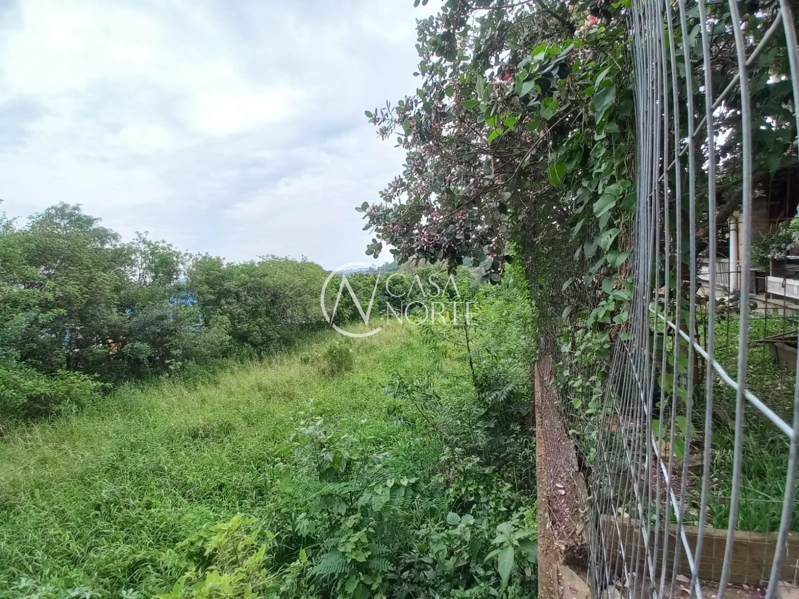 Terreno Comercial à venda  com 1495m², Avenida Belém Velho no bairro Vila Nova em Porto Alegre