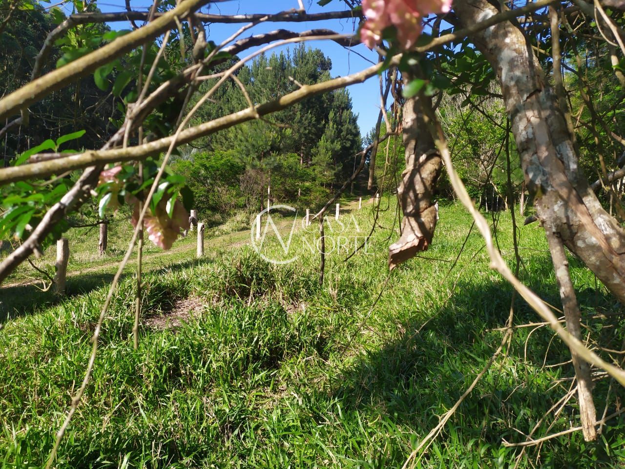 Terreno à venda  com 2500m², Beco do Cervo no bairro Extrema em Porto Alegre