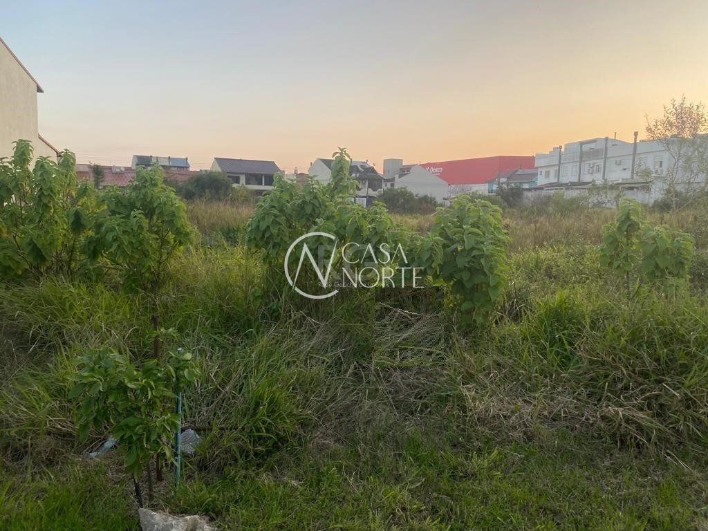 Terreno à venda , 329m², Rua Hilario Gonçalves Pinha no bairro Hípica em Porto Alegre