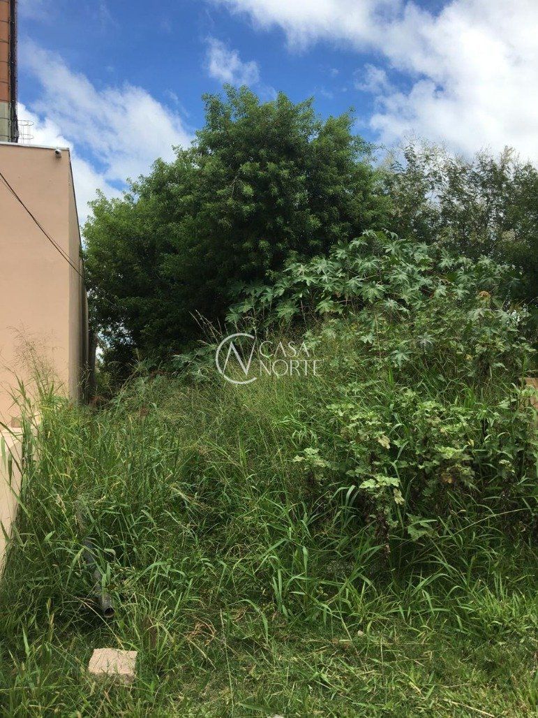 Terreno à venda  com 1500m², Avenida Principal da Ponta Grossa no bairro Ponta Grossa em Porto Alegre