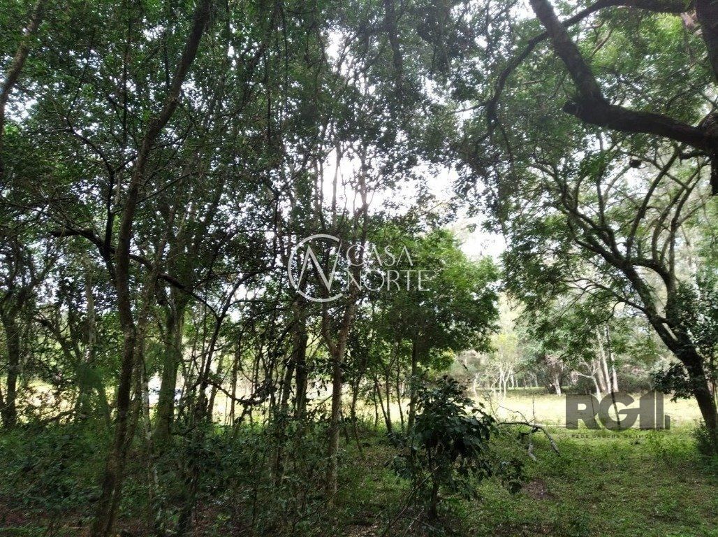 Terreno à venda  com 800m², Rua das Espatódeas no bairro Ponta Grossa em Porto Alegre