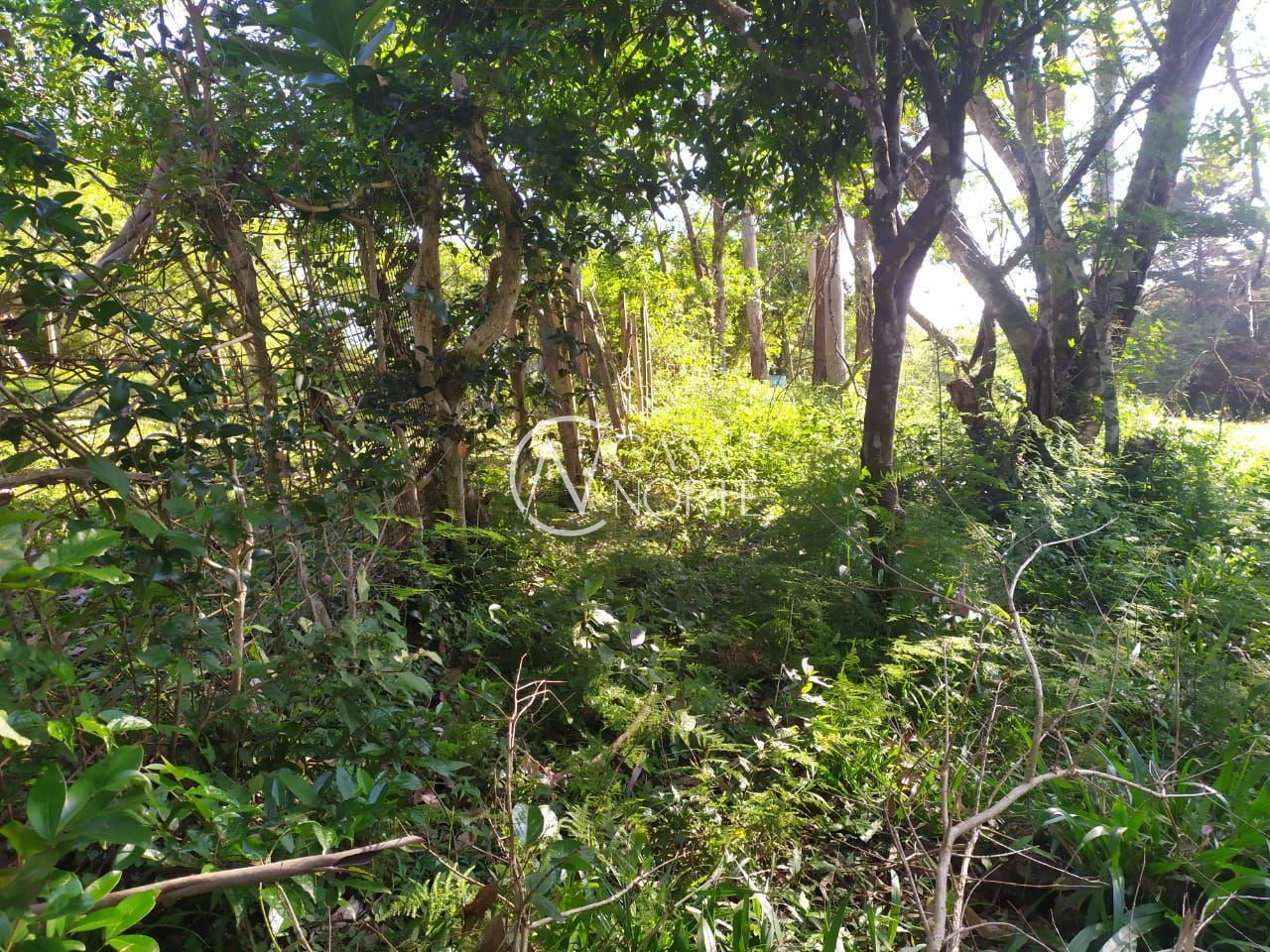 Terreno à venda  com 2500m², Beco do Cervo no bairro Extrema em Porto Alegre