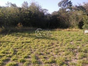 Terreno à venda  com 800m², Rua das Espatódeas no bairro Ponta Grossa em Porto Alegre
